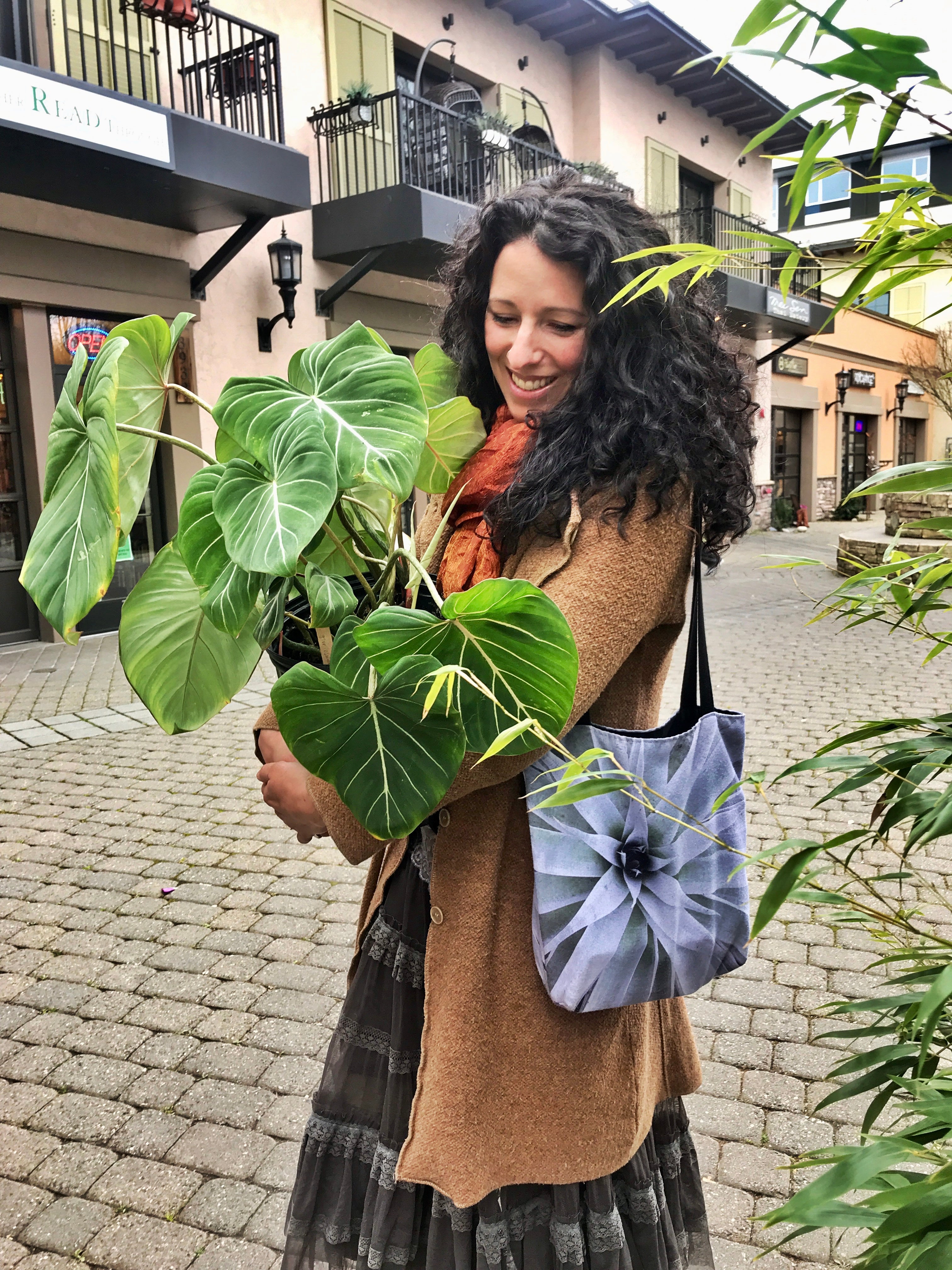 What Is My Plant Parent Personality? Take the Quiz!  Sacred Elements