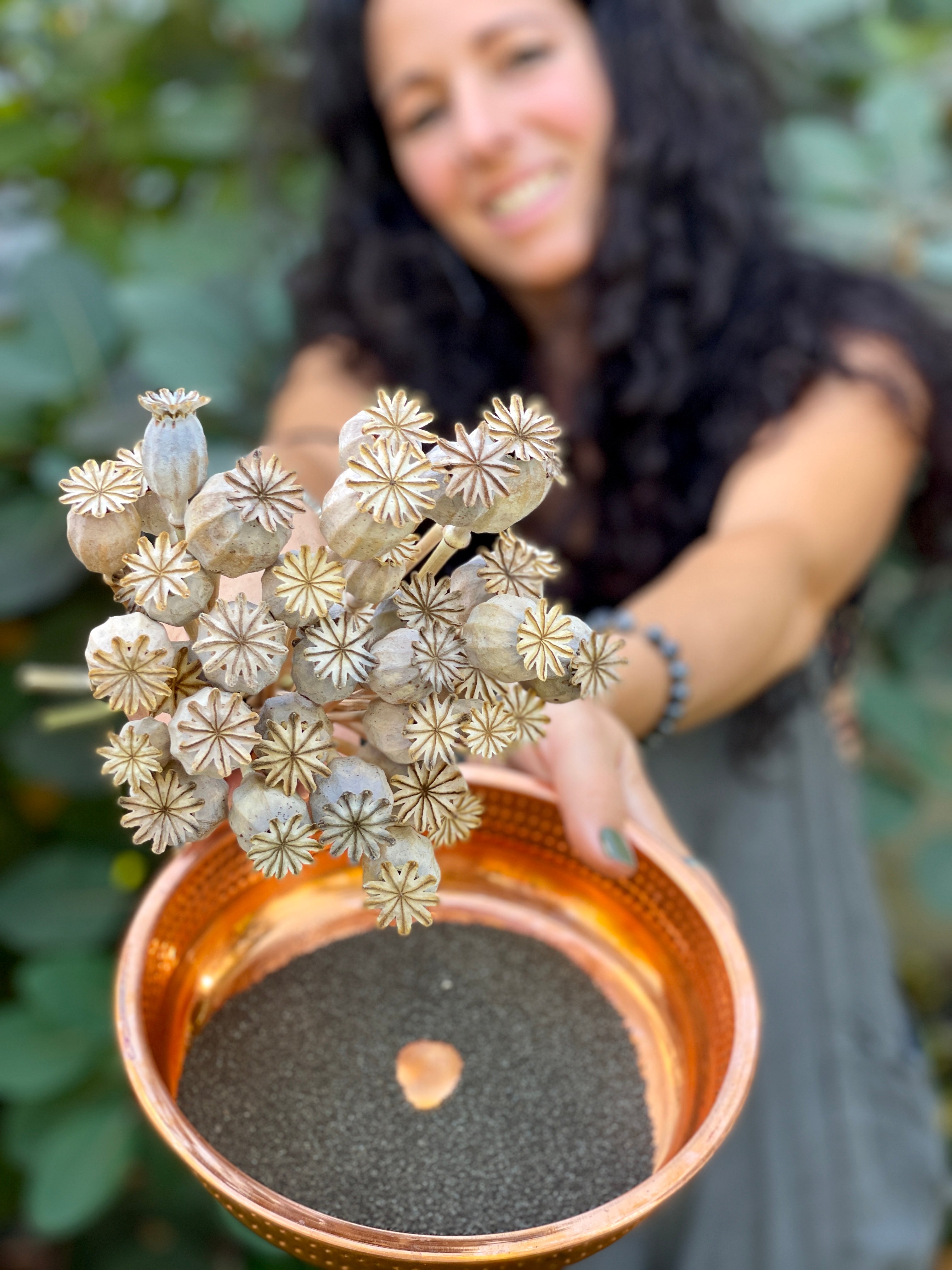 How to Germinate Poppy Seeds: Easy Steps for Thriving Plants