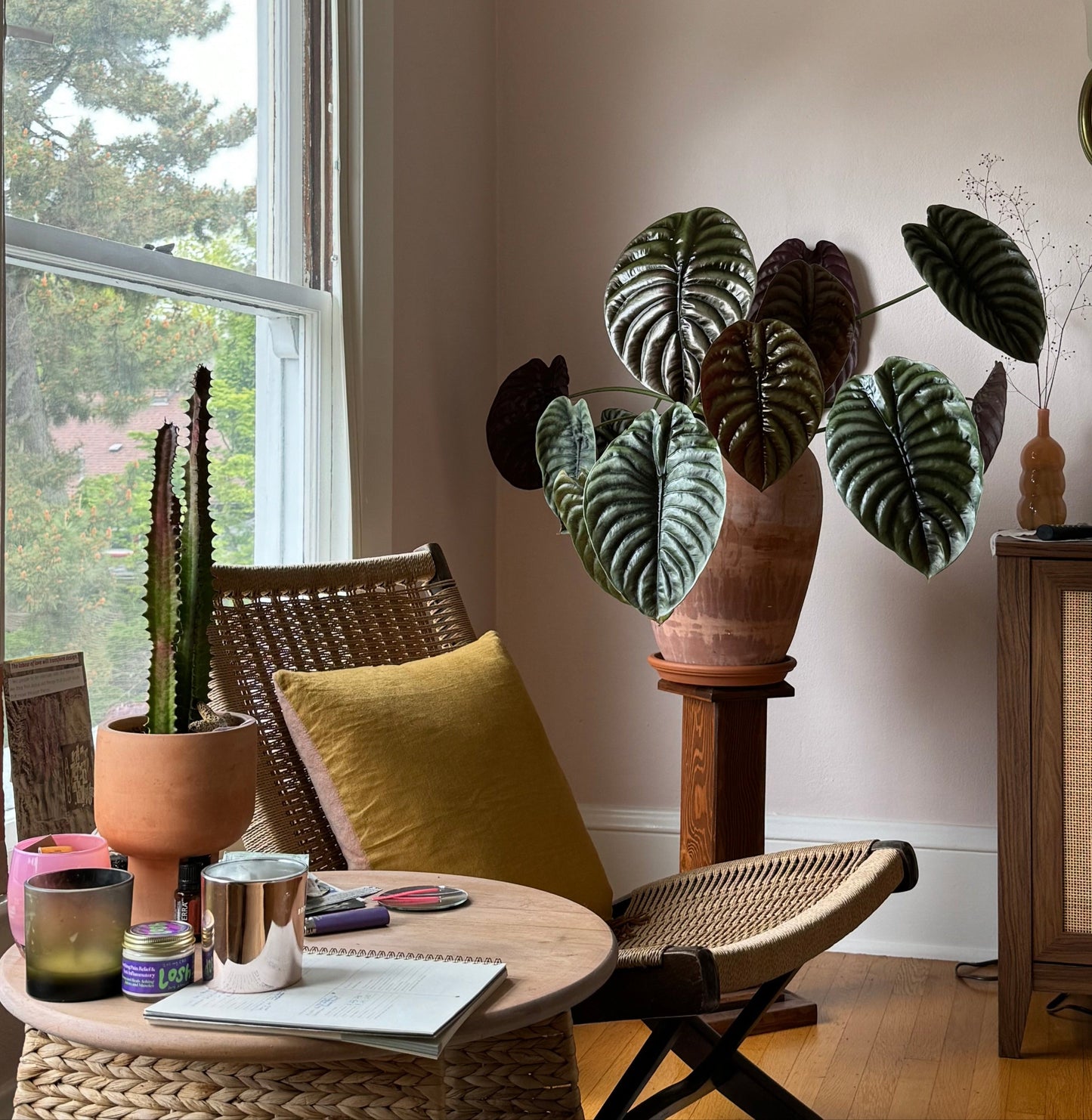 Plant Rentals & Staging