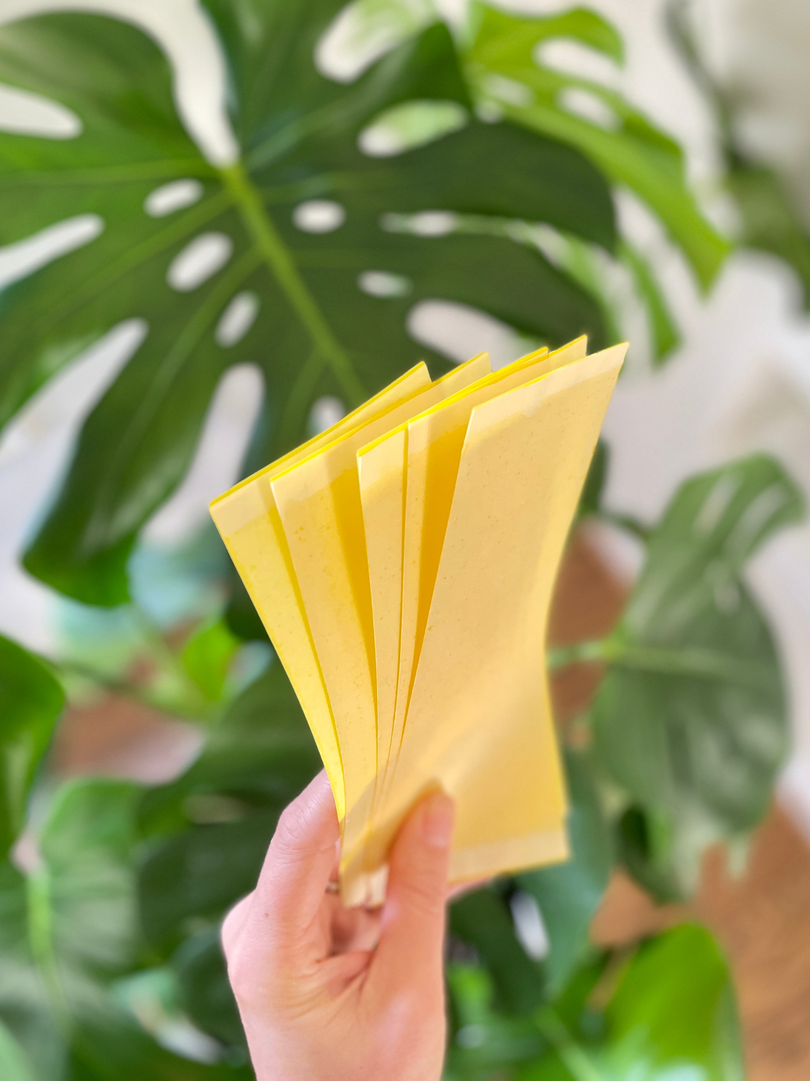 Pastel Yellow Gift Tissue Paper