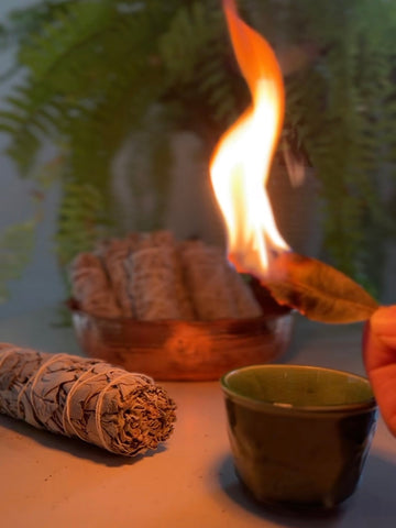 6 Herbs for Burning