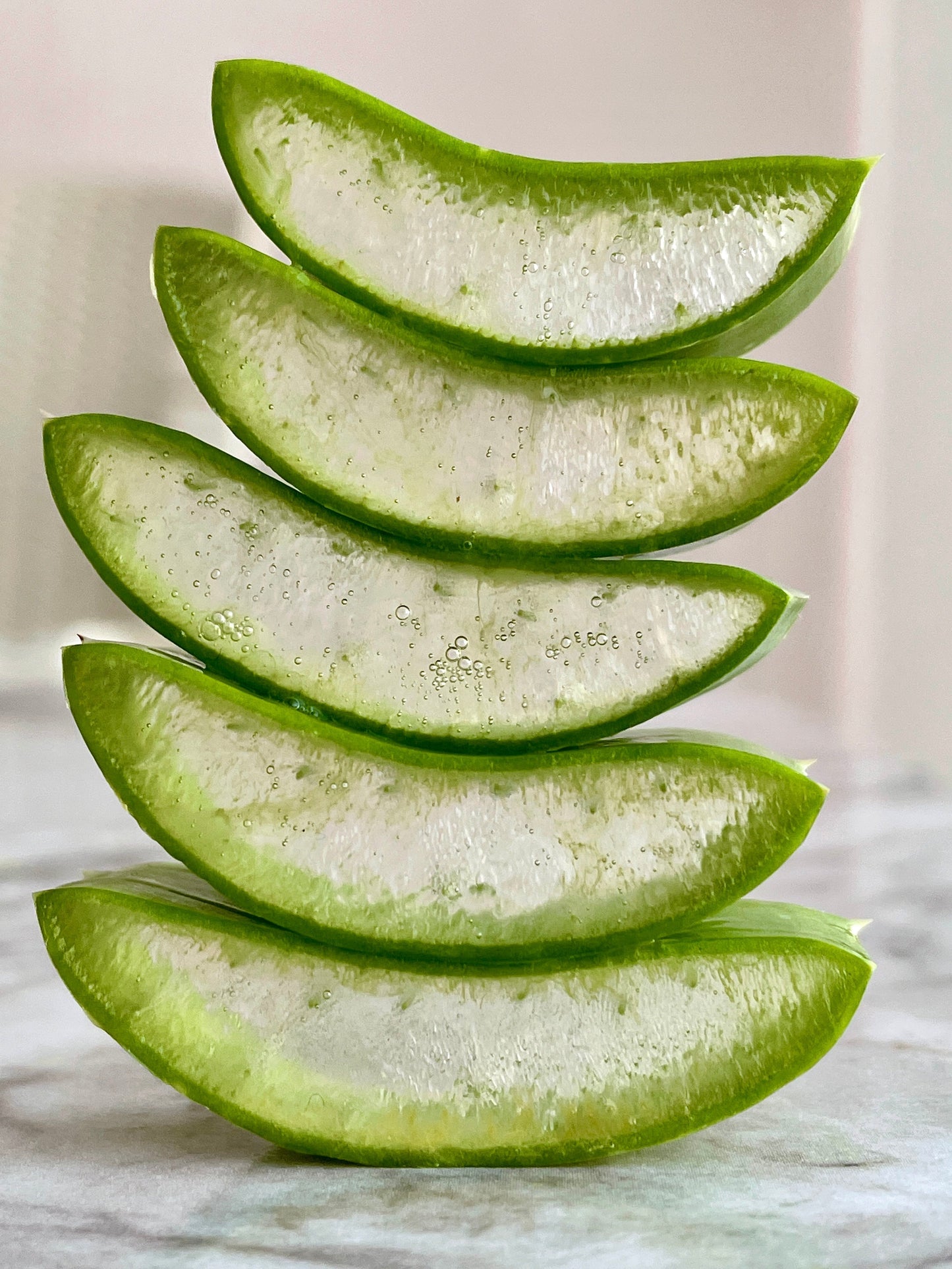 fresh aloe vera for houseplants and garden health and growth