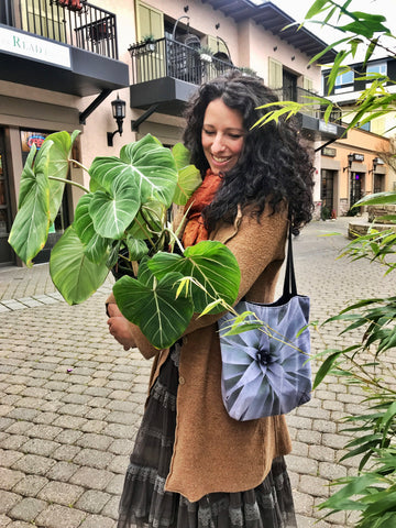 Plant Parent Personality, Take the Quiz!
