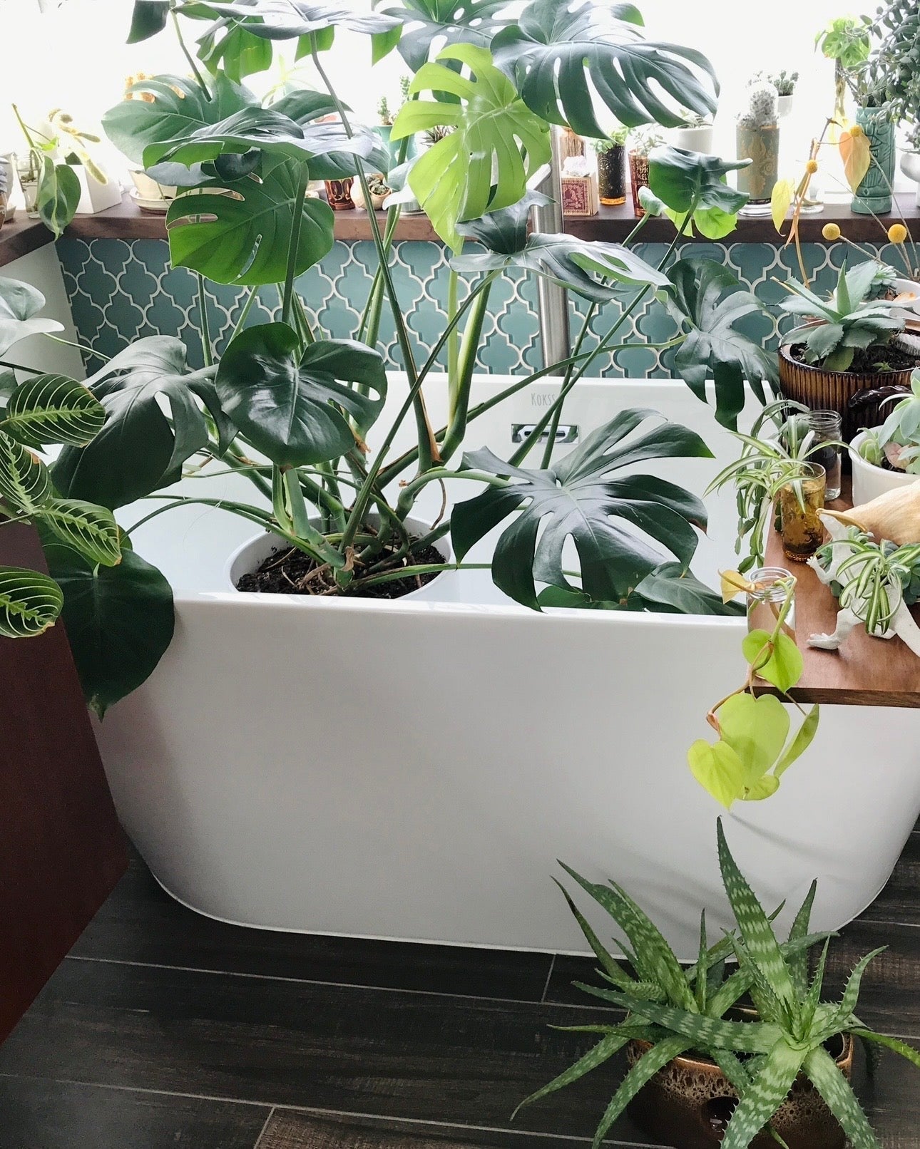 5 Ways to Add Humidity to your Home (without a humidifier)