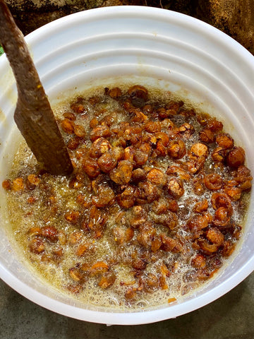 Plant Bubble Bath? Why your plants love saponins!