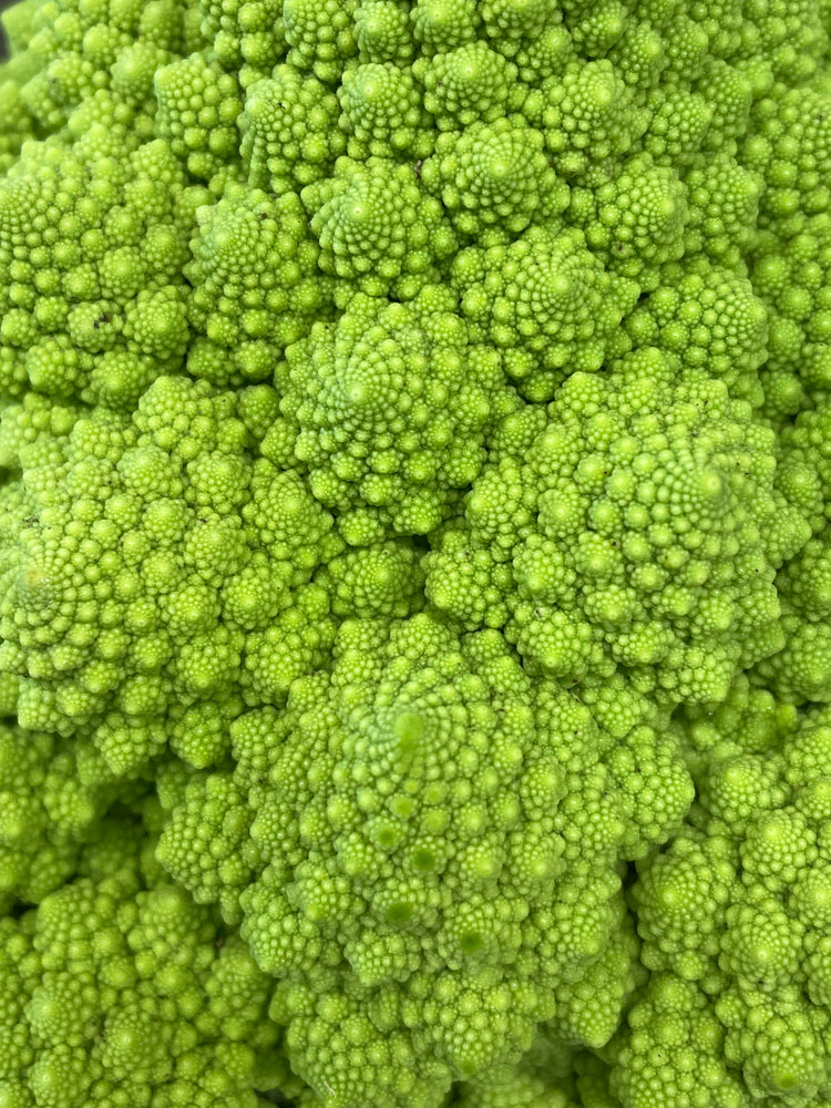 
                  
                    Romanesco (Cauliflower) Seeds - "Romanesco Italia" Heirloom
                  
                