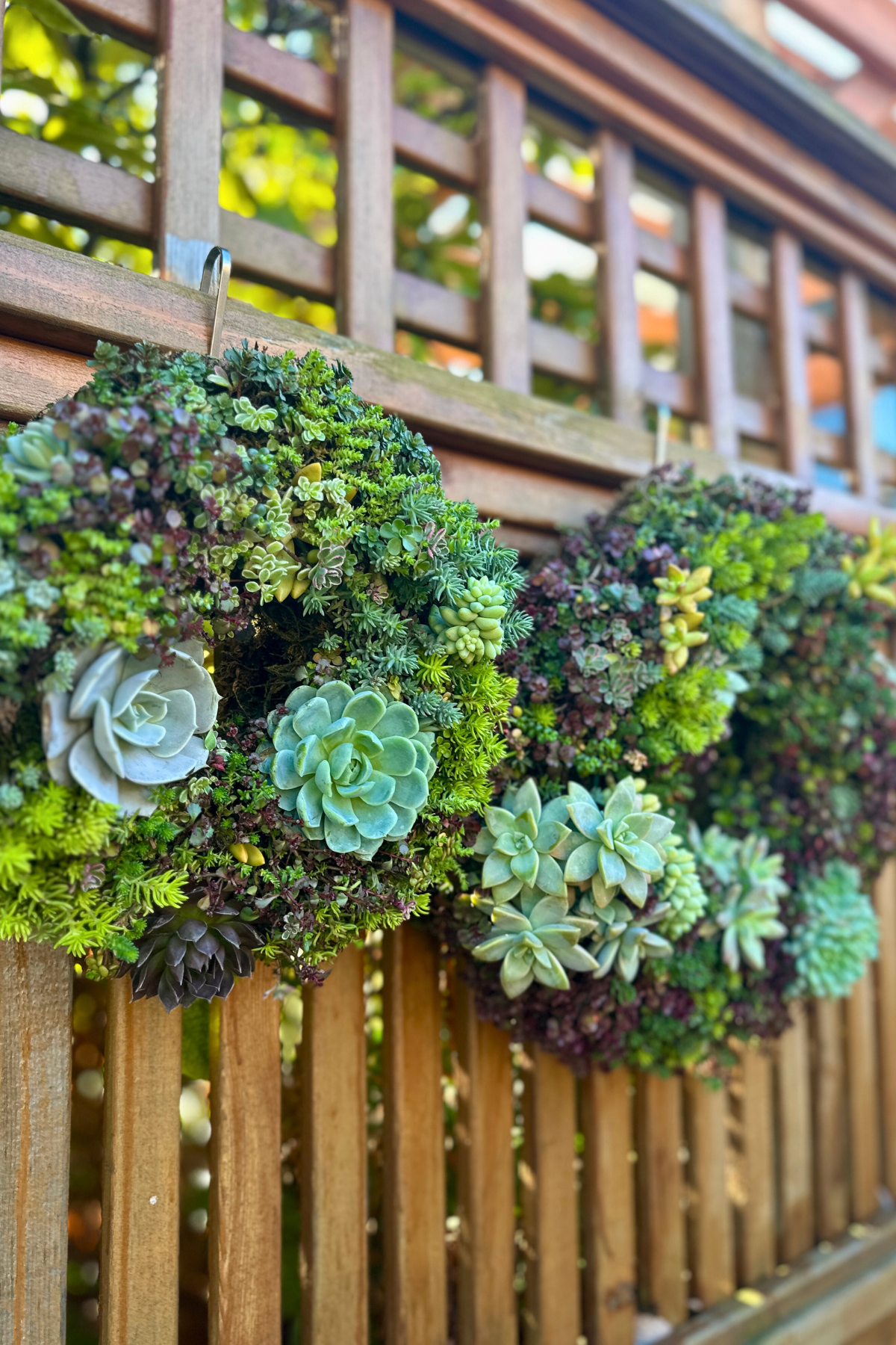 
                  
                    Handcrafted Succulent Wreath
                  
                