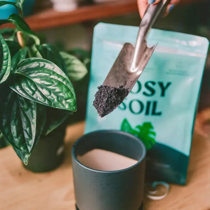 
                  
                    Indoor Potting Mix | 4 Quart
                  
                
