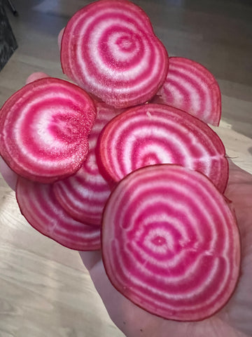 Beet Seeds - "Chioggia (Bassano)" Italian Heirloom