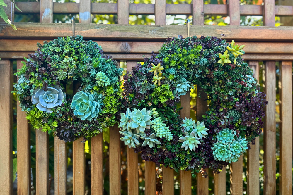 
                  
                    Handcrafted Succulent Wreath
                  
                