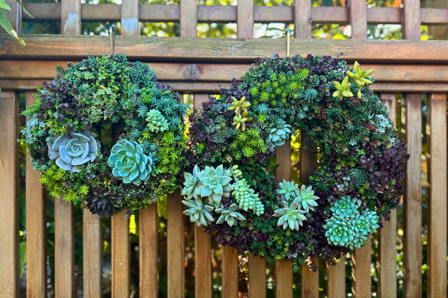 
                  
                    Handcrafted Succulent Wreath
                  
                