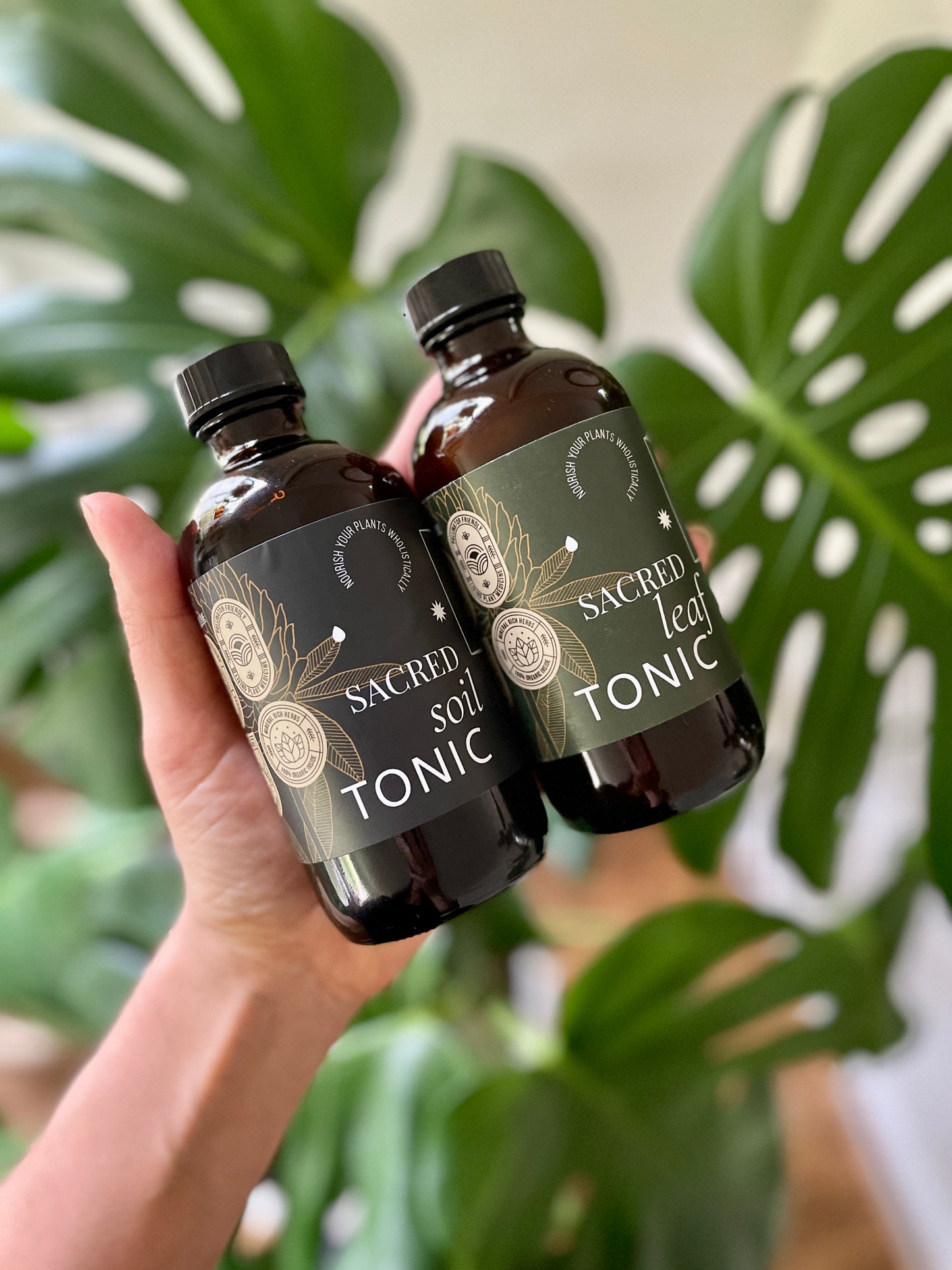 
                  
                    Sacred Plant Care Duo Set
                  
                