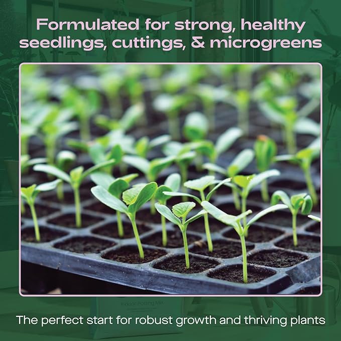 
                  
                    Seedling Soil
                  
                