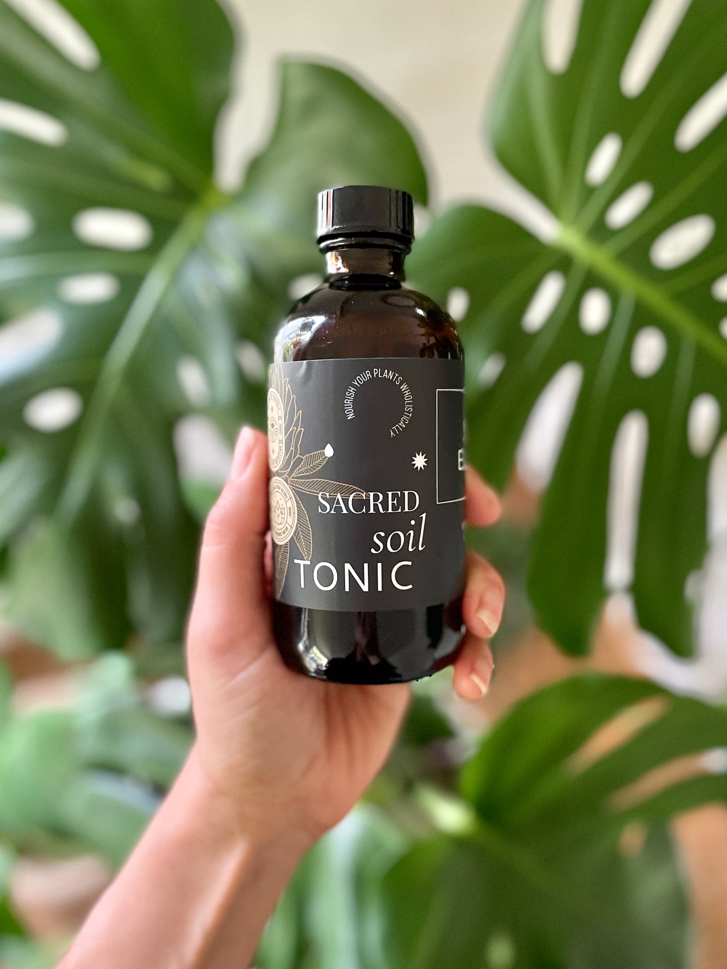 
                  
                    Sacred Leaf Tonic
                  
                