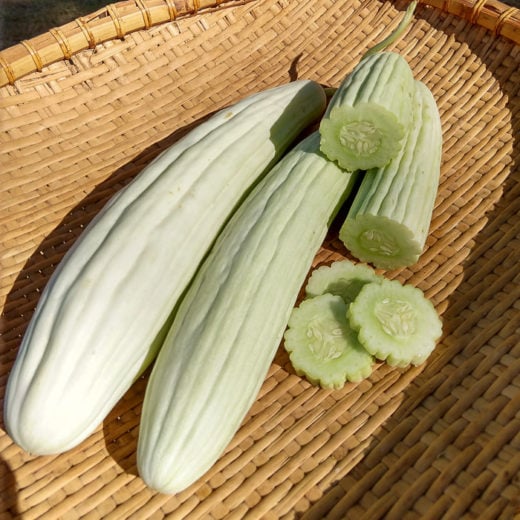 Cucumber Seeds - 