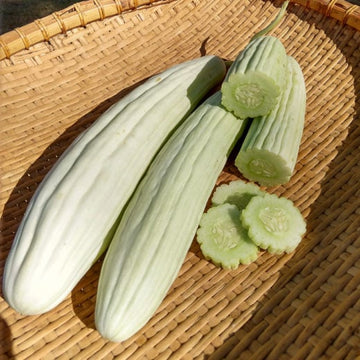 Cucumber Seeds - "Tortarello Abruzzese Bianco" Italian Heirloom