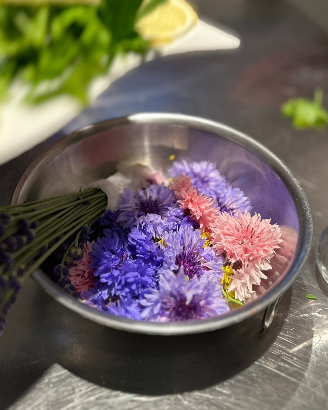 micro edible flower seeds Edible Flower Seed Collection