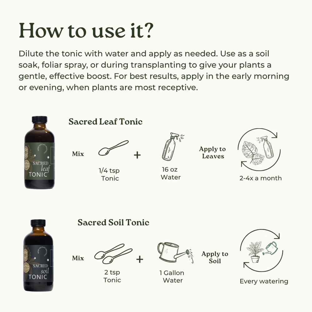
                  
                    Sacred Soil Tonic
                  
                
