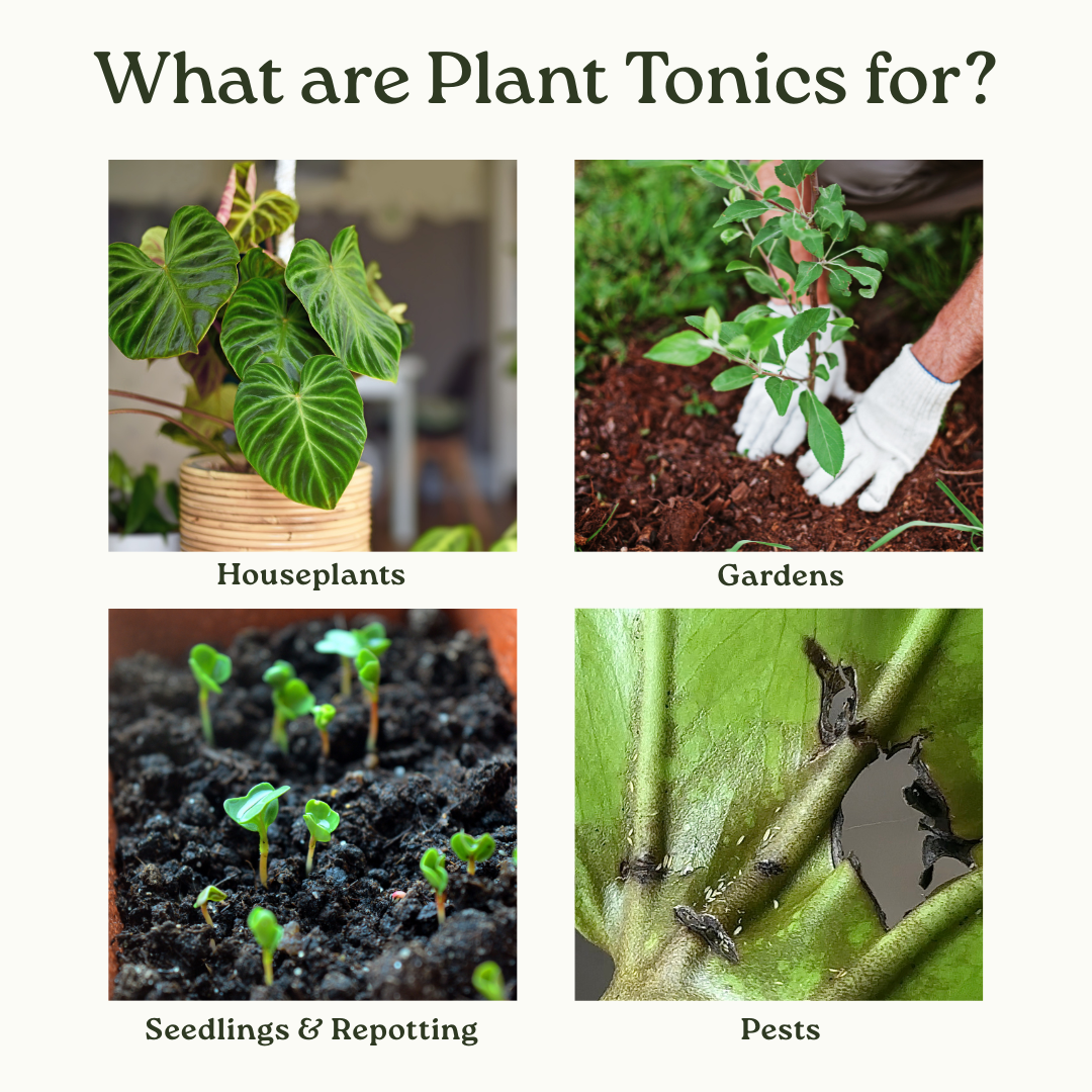 plant tonic vs fertilizer Sacred Soil Tonic — Botanical Fertilizer & Soil-Borne Pest Control Mini
