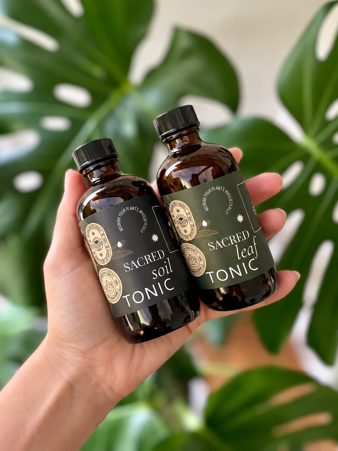 
                  
                    Sacred Plant Care Duo Set
                  
                