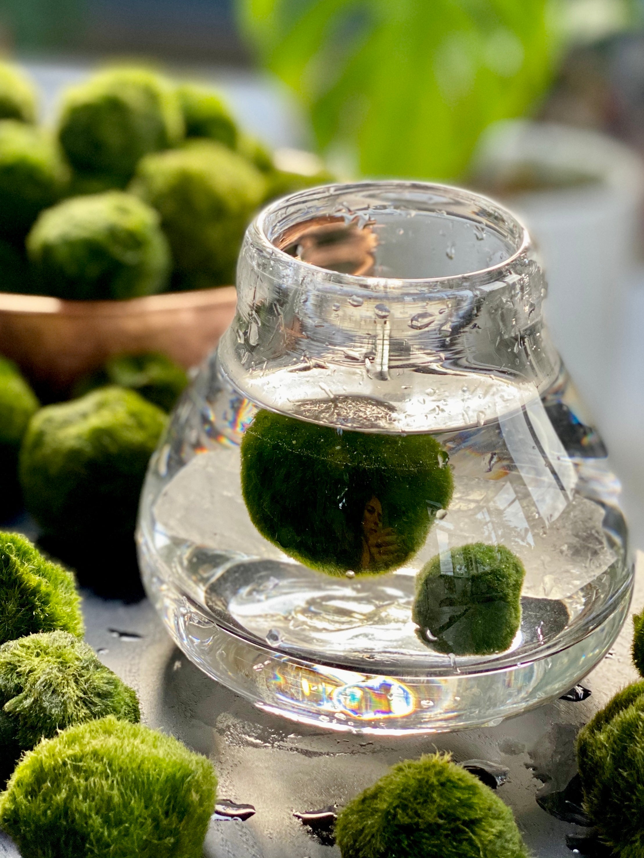 Marimo Enhance