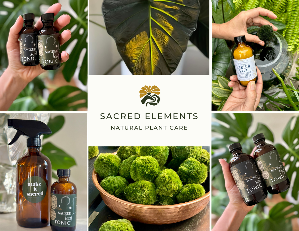 Sacred Elements Gift Card