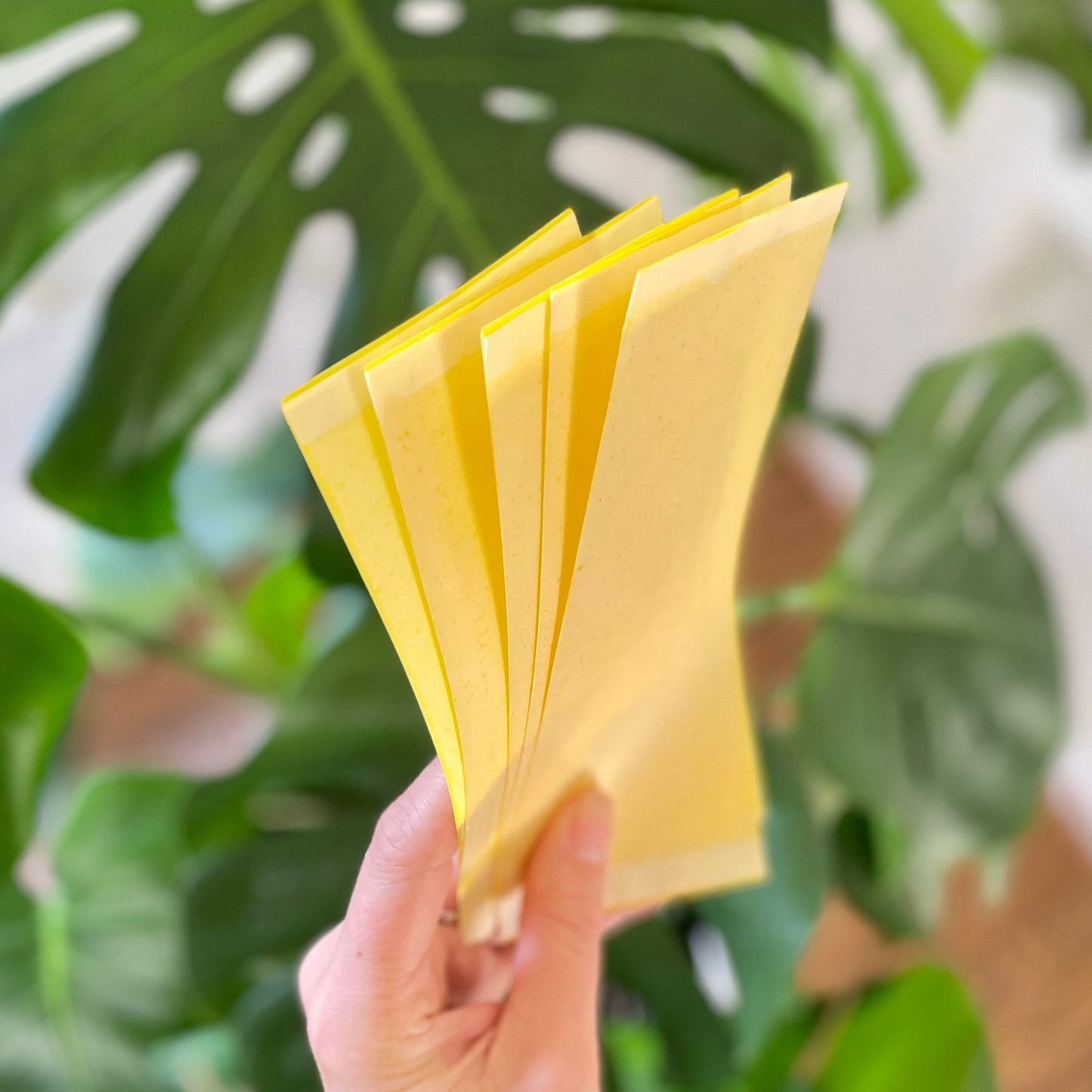 
                  
                    Premium Plant Care Kit
                  
                