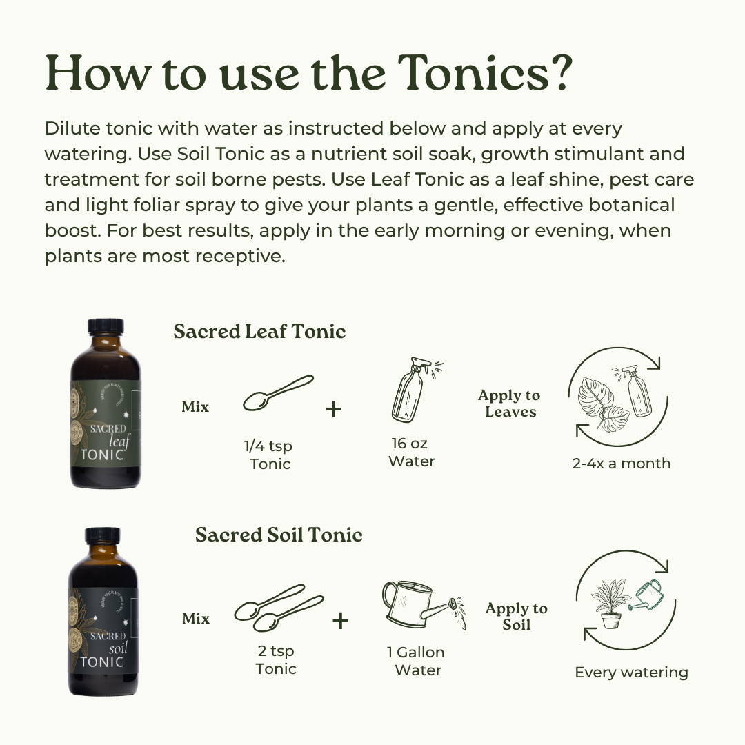
                  
                    Essential Plant Care Kit
                  
                