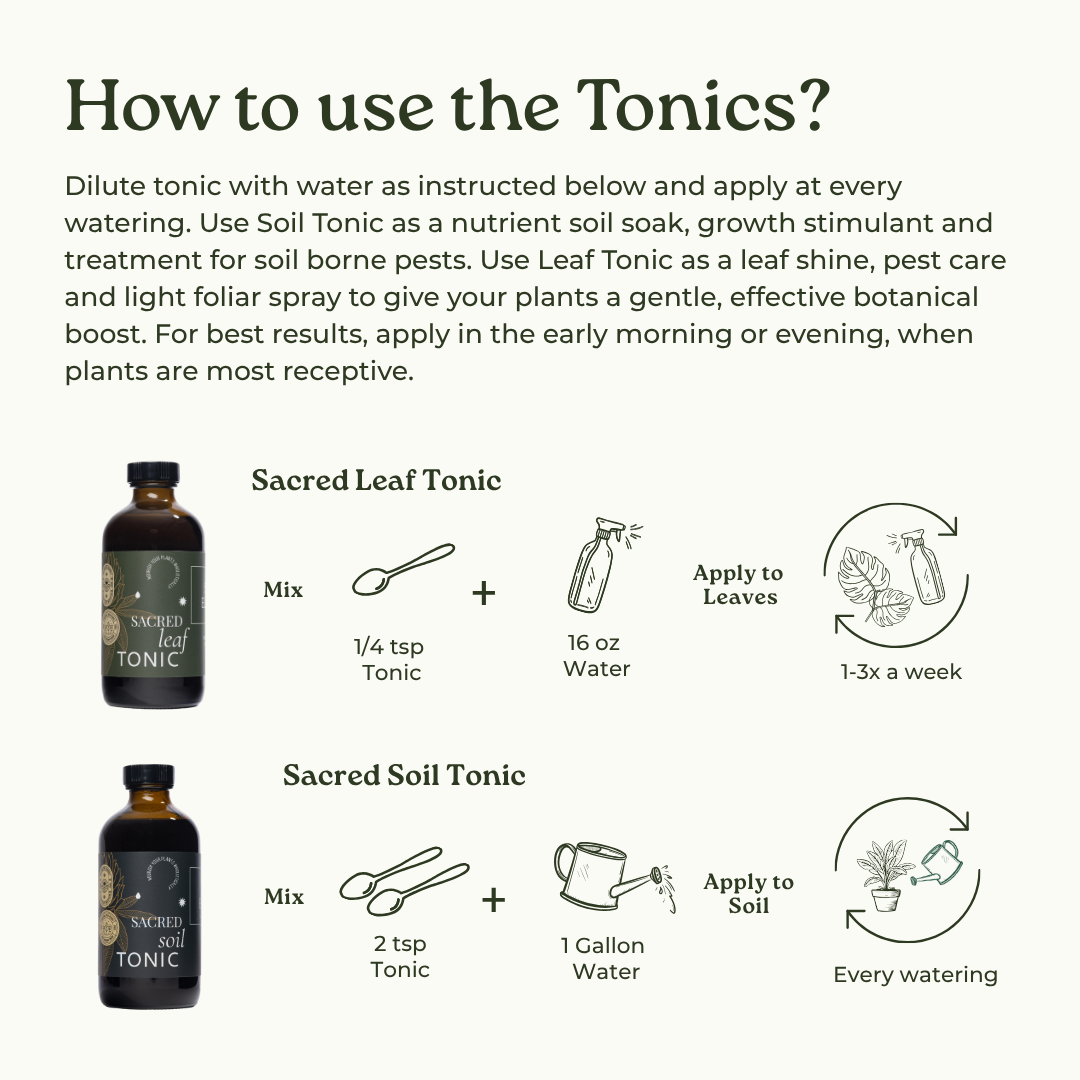 
                  
                    Essential Plant Care Kit
                  
                