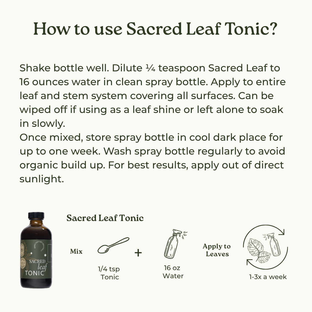 
                  
                    Sacred Leaf Care Kit
                  
                