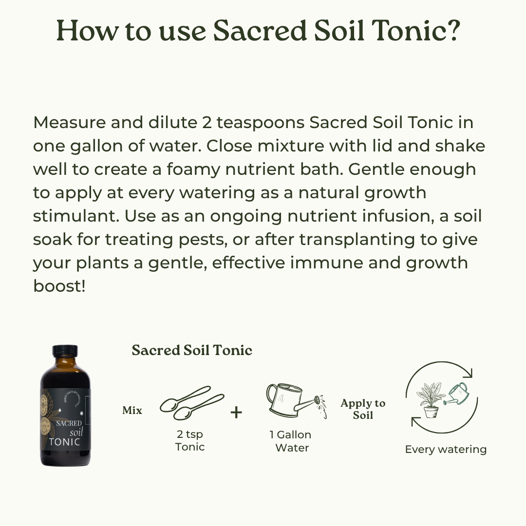 
                  
                    Sacred Soil Tonic
                  
                