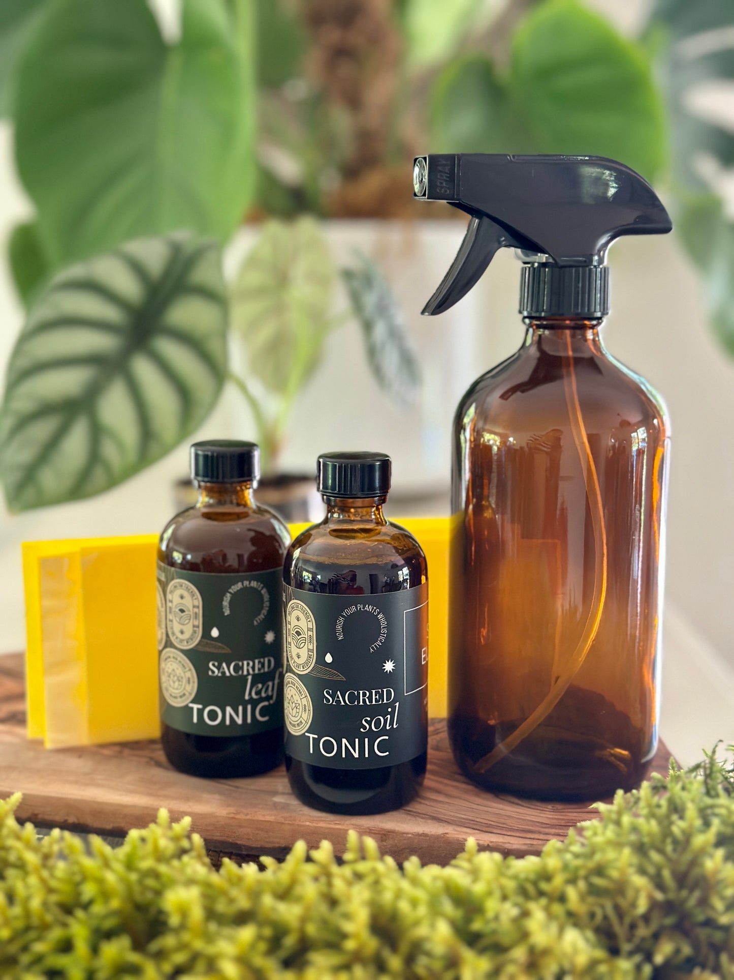 
                  
                    Premium Plant Care Kit
                  
                