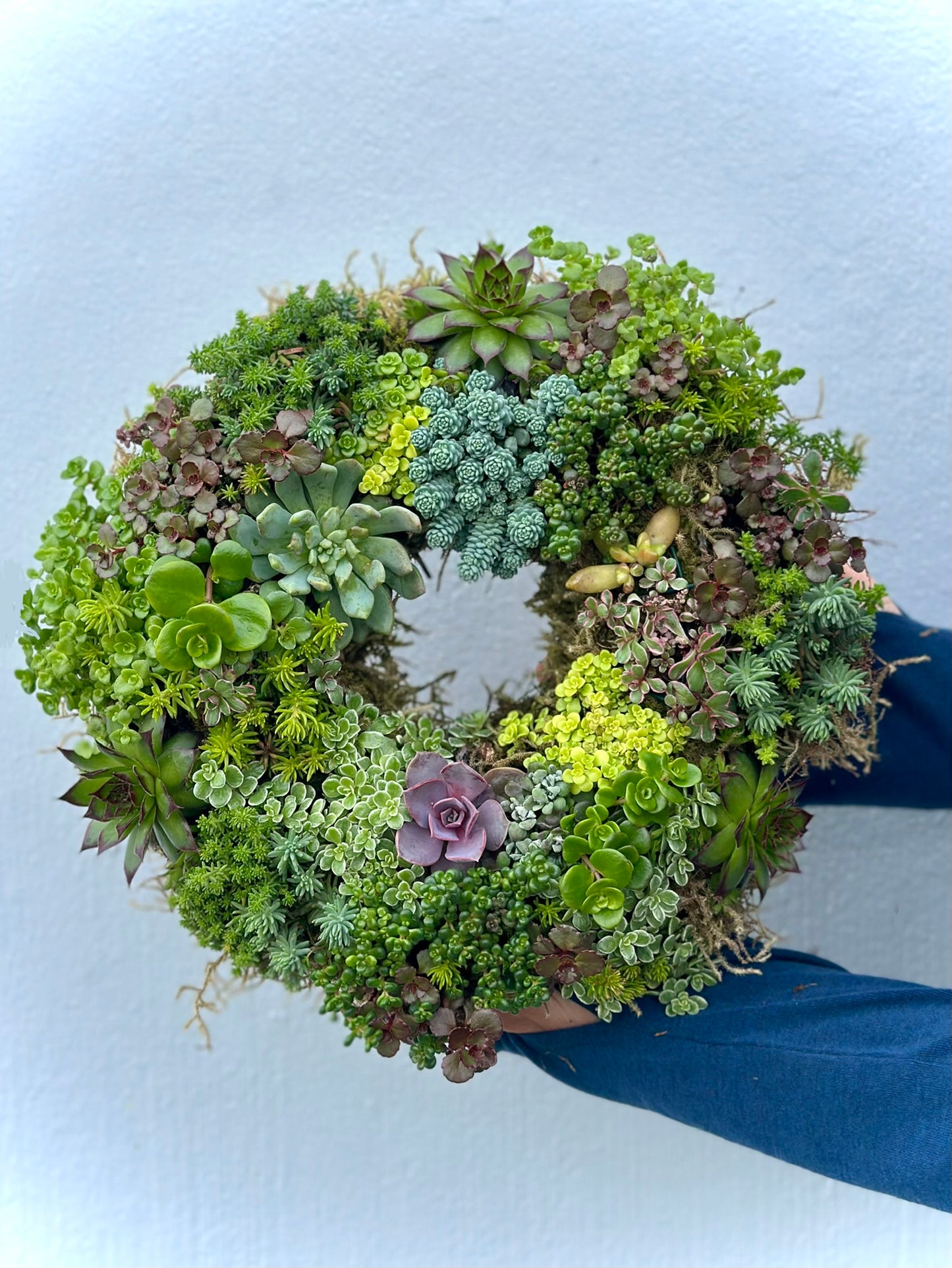 
                  
                    Handcrafted Succulent Wreath
                  
                