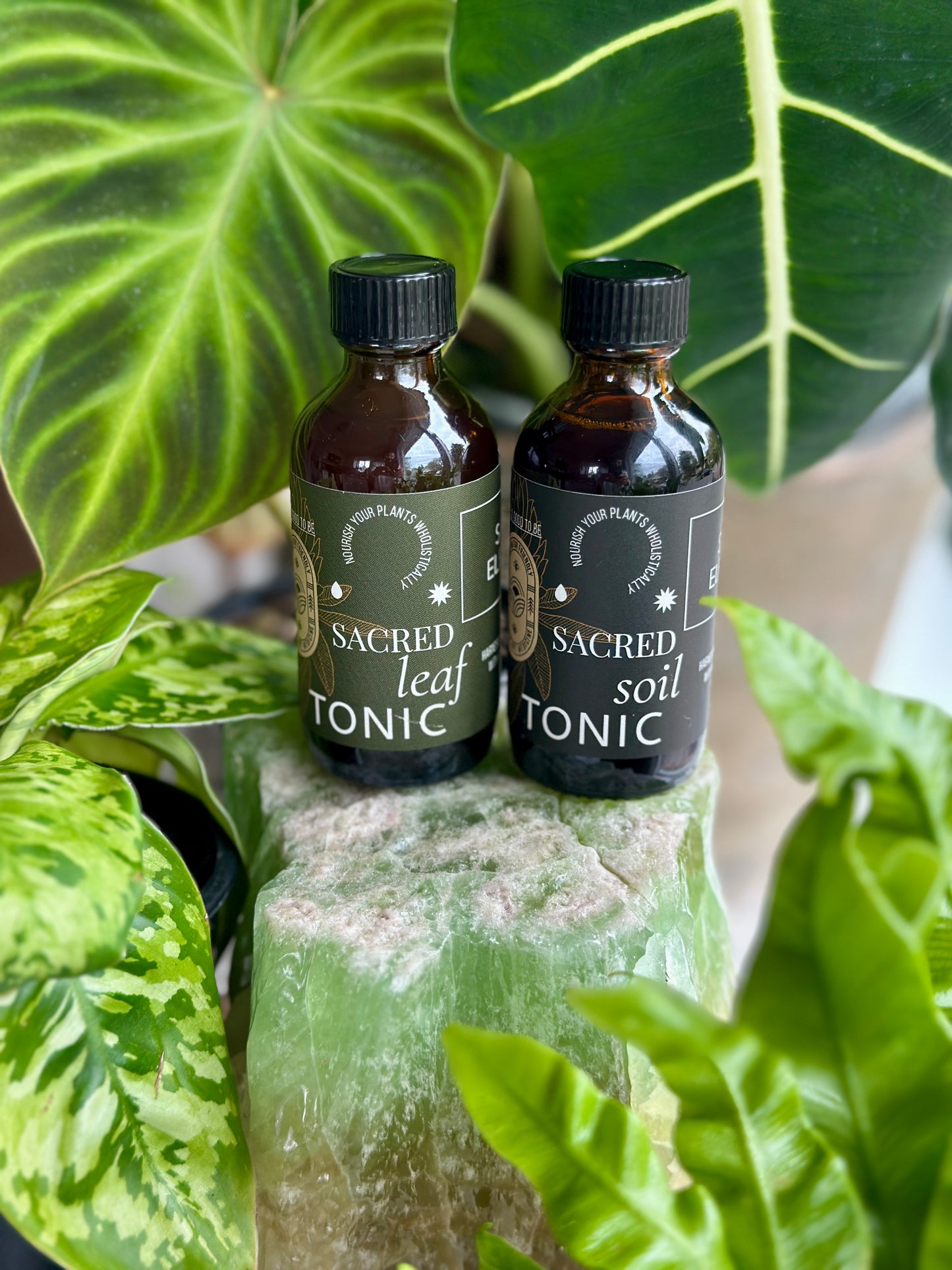 
                  
                    Sacred Plant Care Duo
                  
                