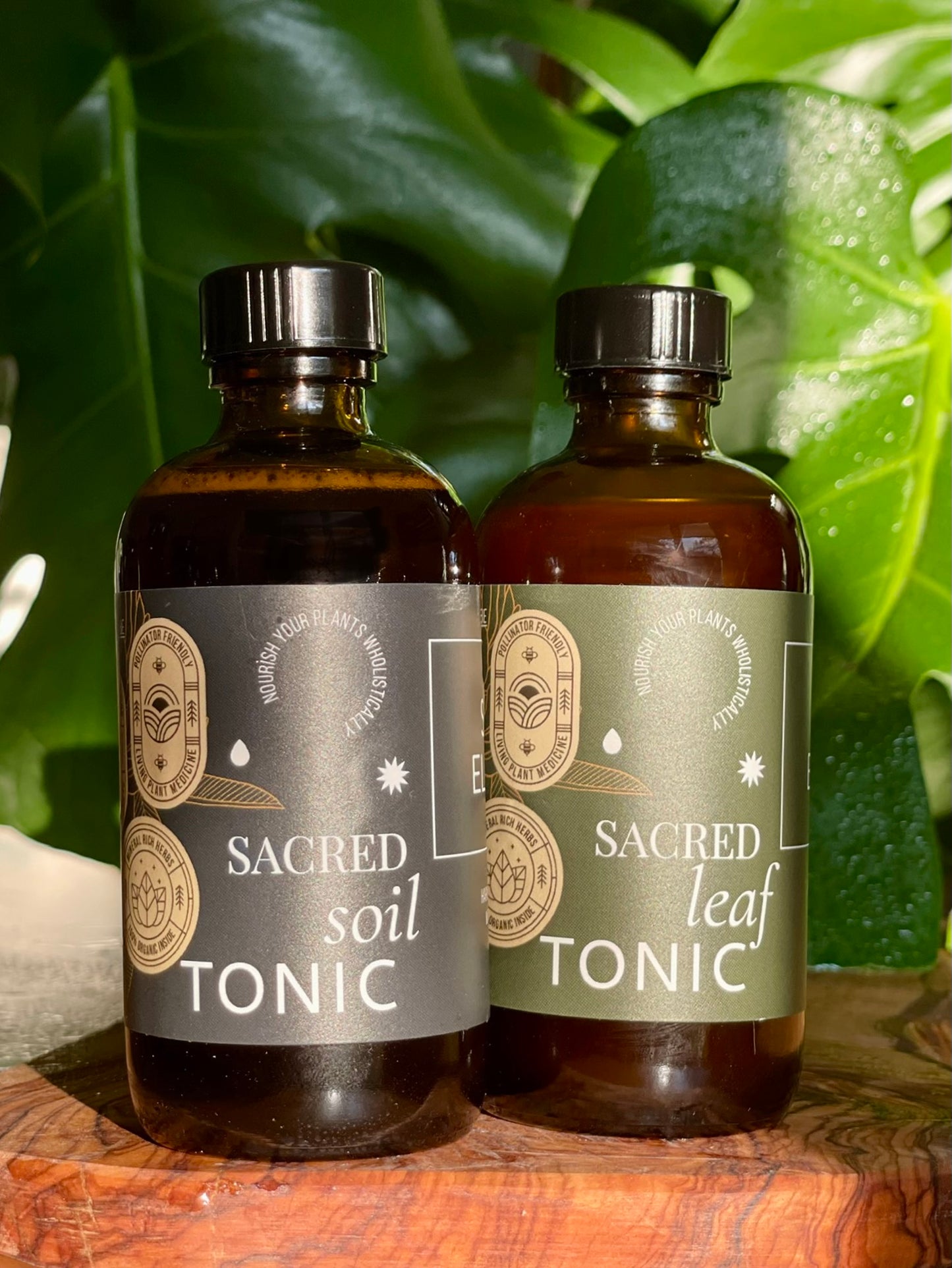 
                  
                    Essential Plant Care Kit
                  
                