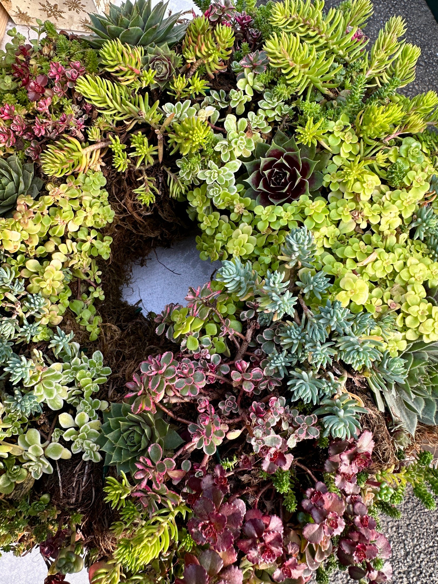 
                  
                    Handcrafted Succulent Wreath
                  
                