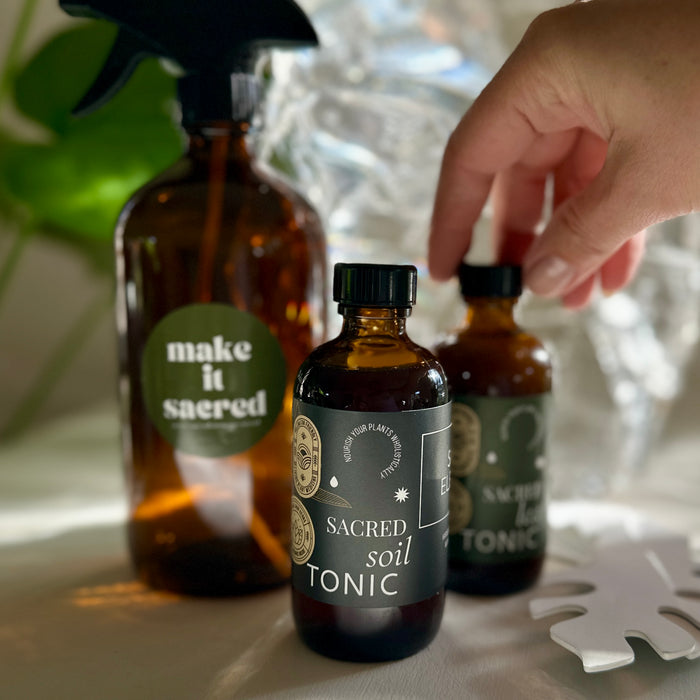 Essential Plant Care Kit