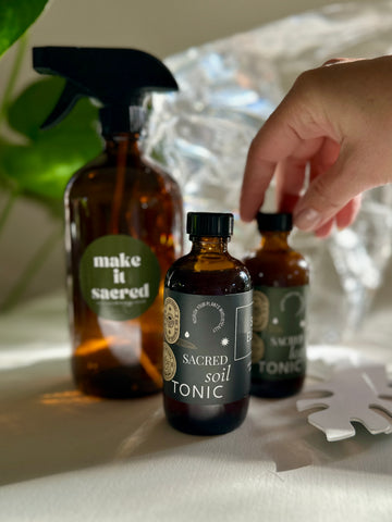 Essential Plant Care Kit