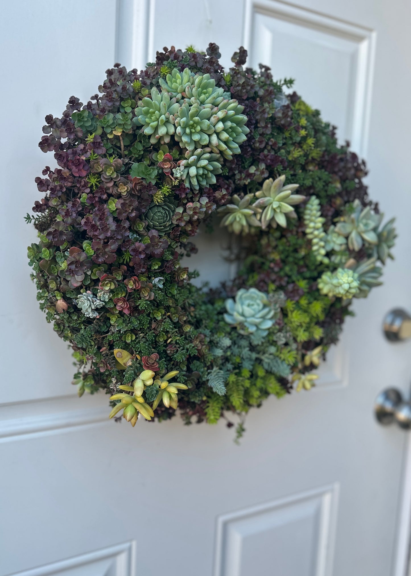 
                  
                    Handcrafted Succulent Wreath
                  
                