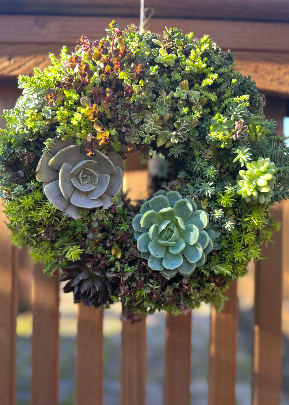 Handcrafted Succulent Wreath