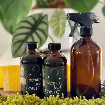 Plant Care Kit