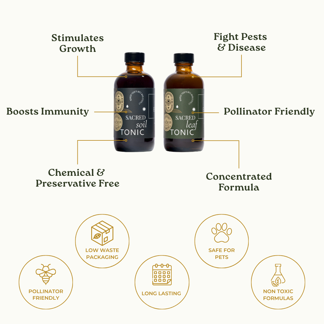 
                  
                    Essential Plant Care Kit
                  
                