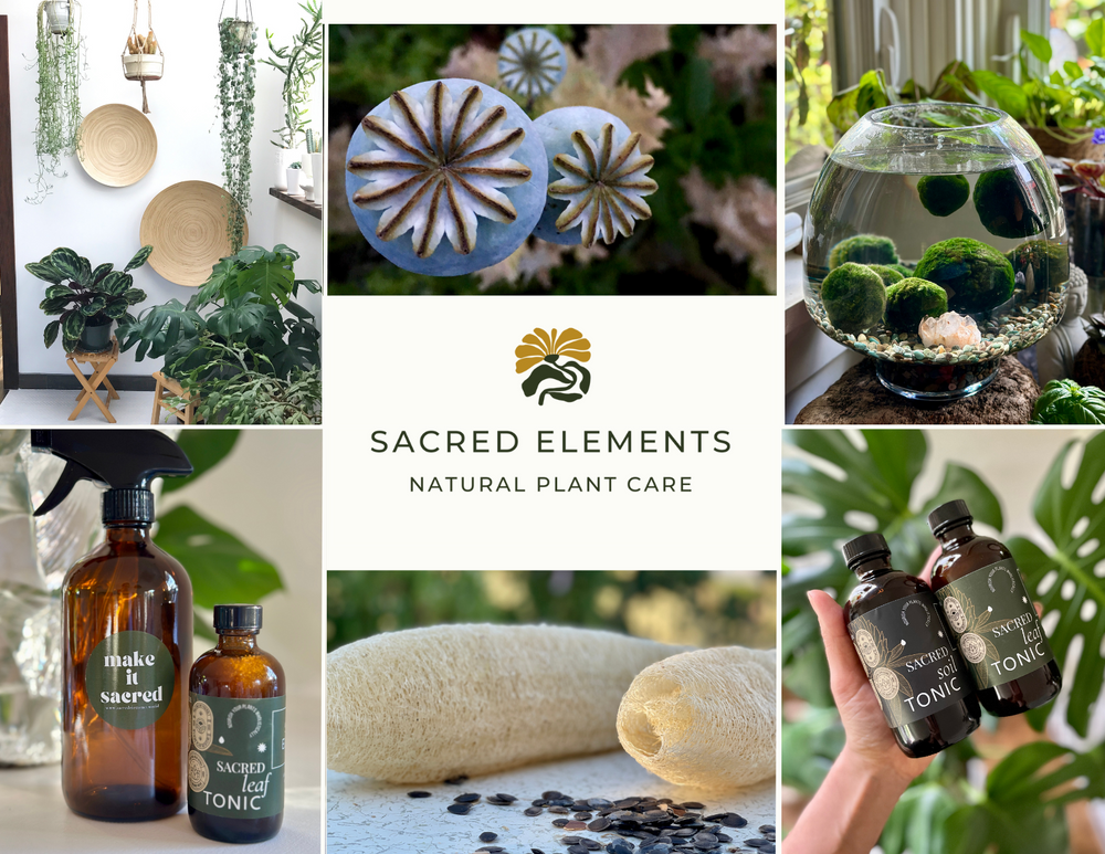 Sacred Elements Gift Card