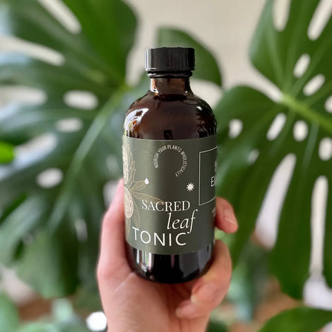 A hand holding Sacred Elements Leaf Tonic in an amber glass bottle with green label, formulated to enrich soil with organic nutrients for strong plant roots