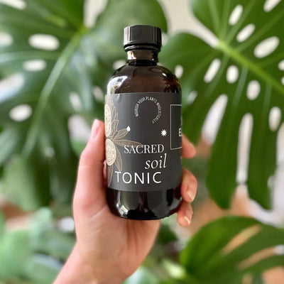 Sacred Elements Soil Tonic in an amber glass bottle with green label, formulated to enrich soil with organic nutrients for strong plant roots