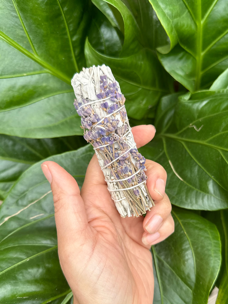 
                  
                    White Sage Bundle
                  
                