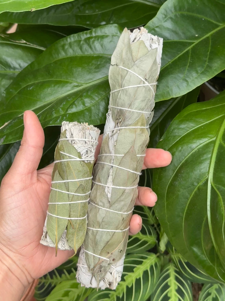 
                  
                    White Sage Bundle
                  
                