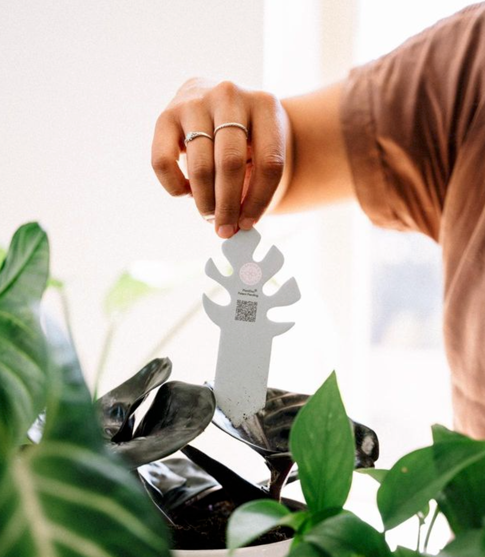 
                  
                    PlantDoc Monstera: Biodegradable Color-Changing Moisture Meter
                  
                