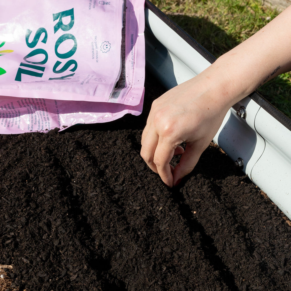 
                  
                    Seedling Soil
                  
                