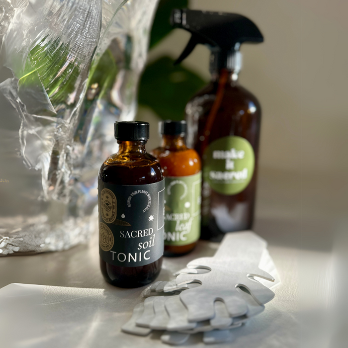 Premium Plant Care Kit